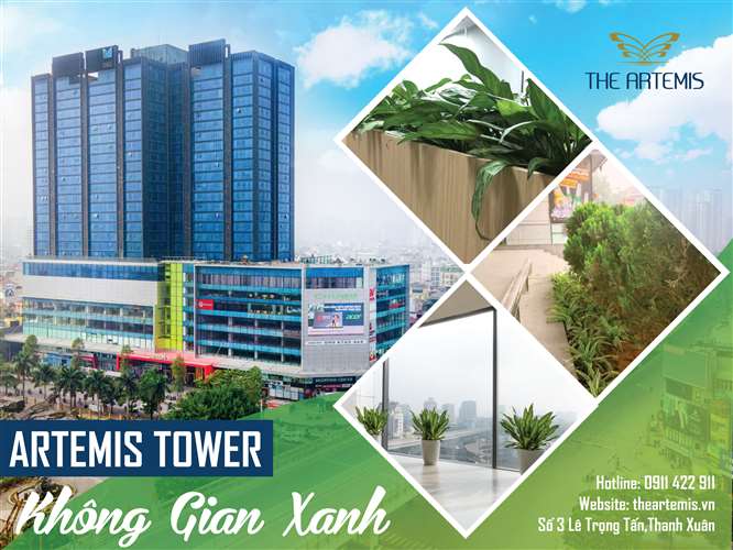 Không gian làm viêc xanh